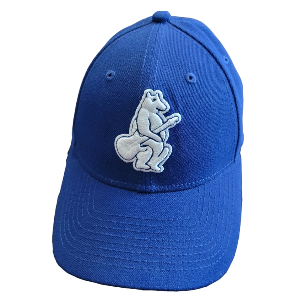 New Era Chicago Cubs Lollapalooza 9FORTY Baseball Hat Blue OS